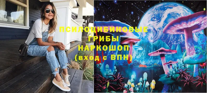 Псилоцибиновые грибы Cubensis  купить закладку  Киселёвск 